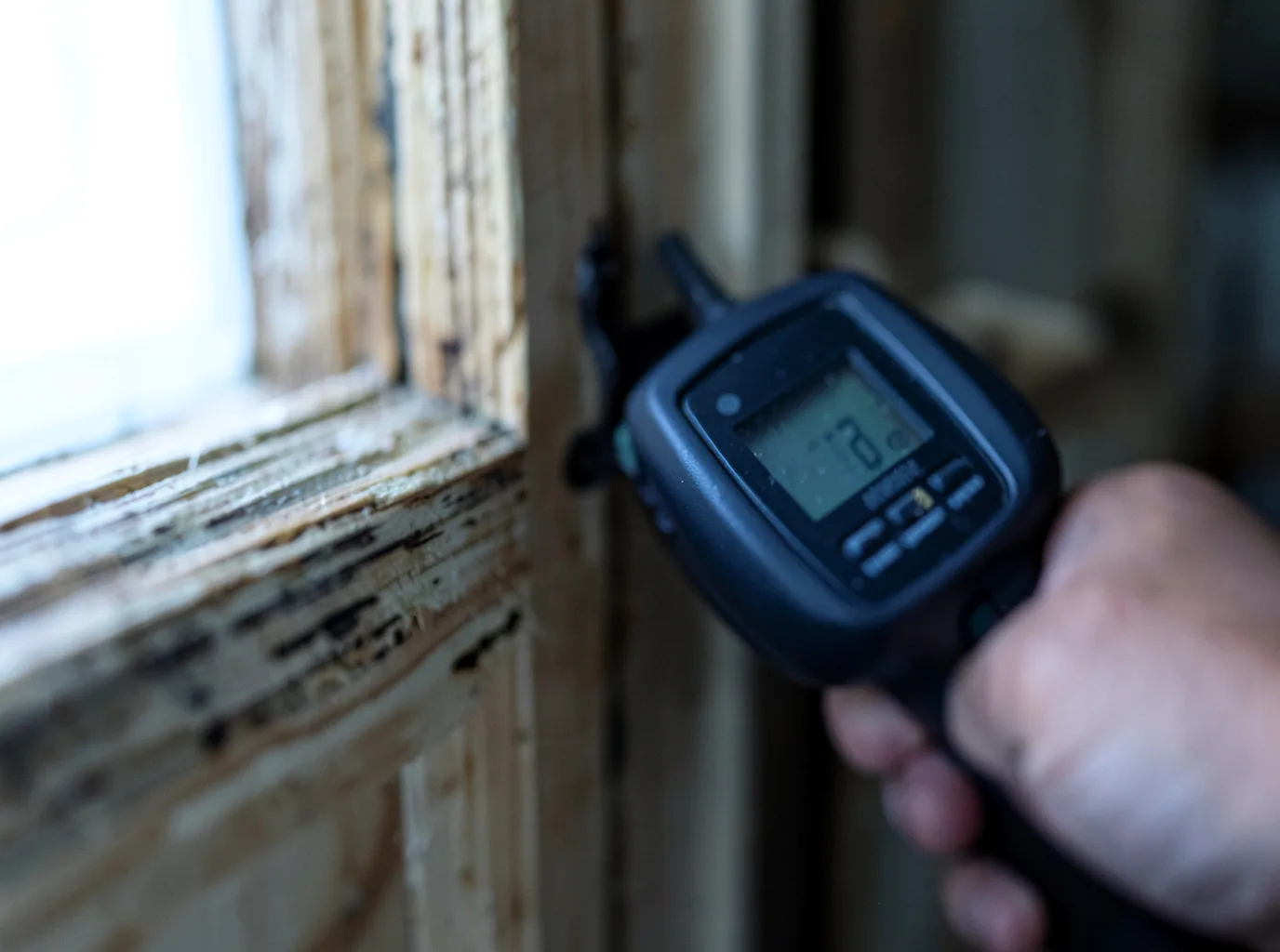 Moisture Inspection And Documentation in Argonne, WI